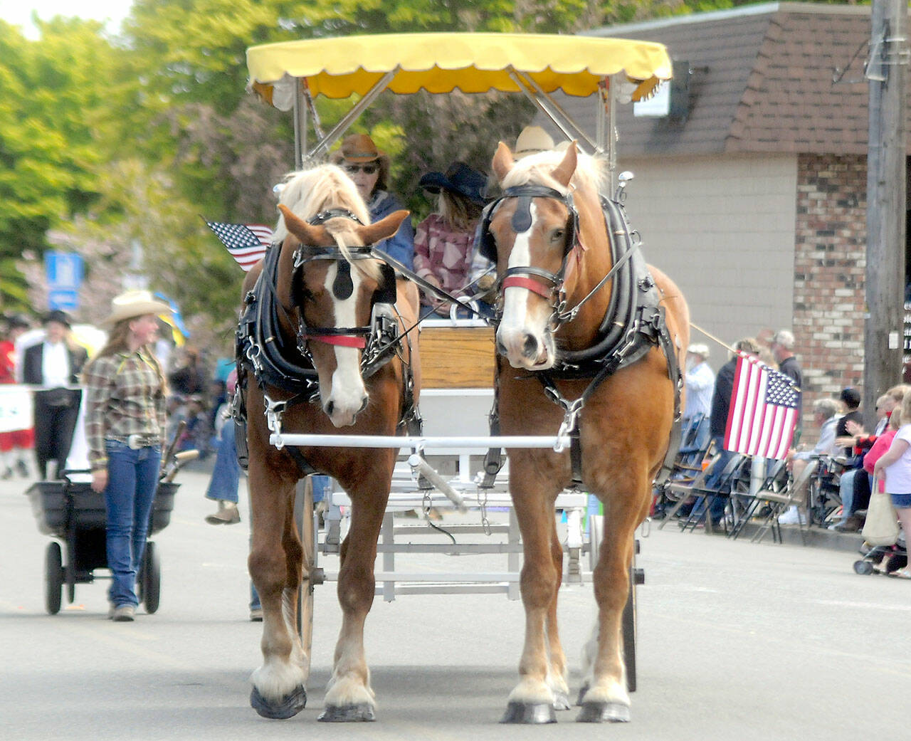 A pair of draft horses pull a wagon representing Blue Mountain Belgians in Saturday’s grand parade in Sequim. (Keith Thorpe/Peninsula Daily News)
