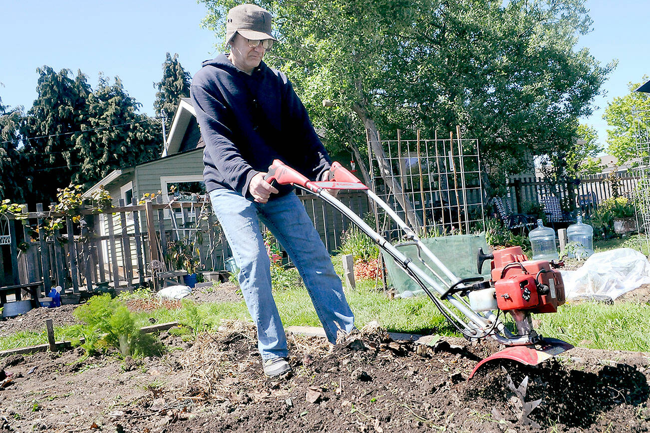 Keith Thorpe/Peninsula Daily News
David Fox of Port Angeles uses a rotary tiller on Thursday to prepare soil for planting on a plot in the Fifth Street Community Garden in Port Angeles. The garden, which features plots planted by members of the comnnunty, is in full swing with a wide variety of plants and flowers.