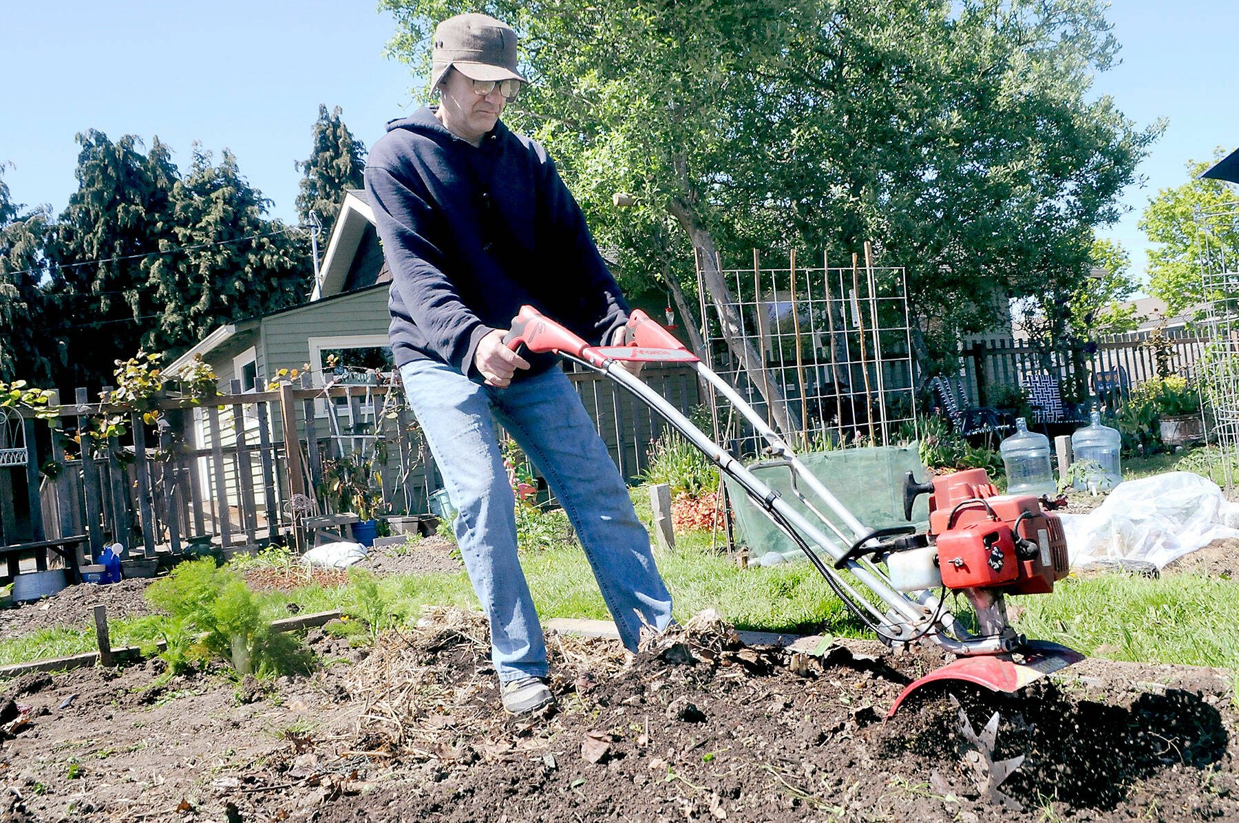 David Fox of Port Angeles uses a rotary tiller on Thursday to prepare soil for planting on a plot in the Fifth Street Community Garden in Port Angeles. (Keith Thorpe/Peninsula Daily News)