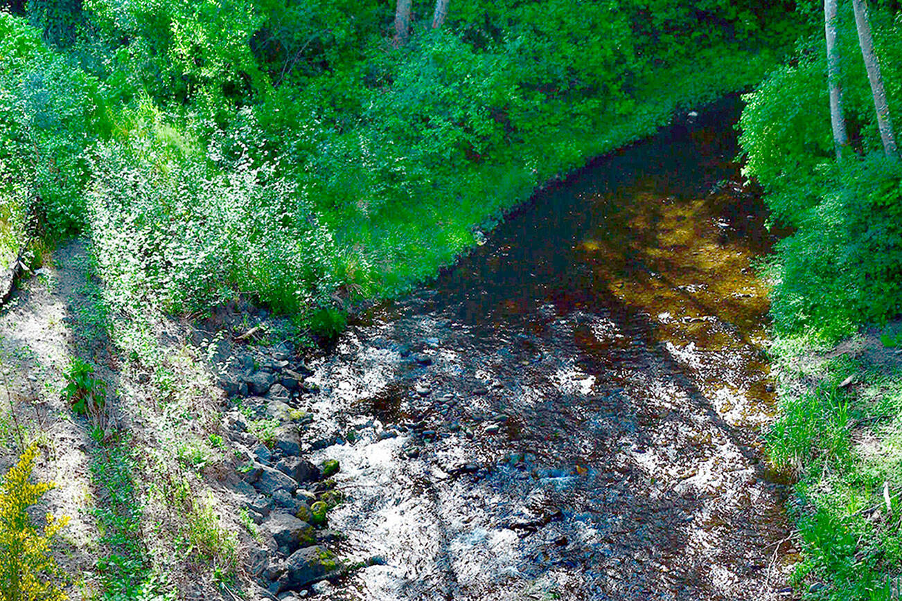 McDonald Creek, as seen from Old Olympic Highway on Sunday, May 22.