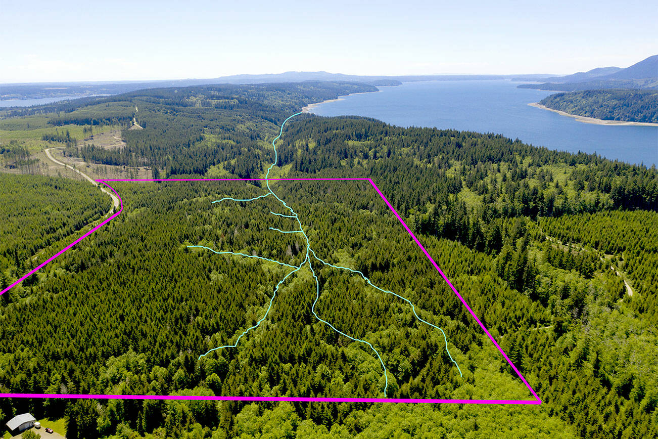 The Northwest Watershed Institute has purchased 91 acres from Rayonier to have the land preserved. A boundary line has been drawn over a photograph by John Gussman.