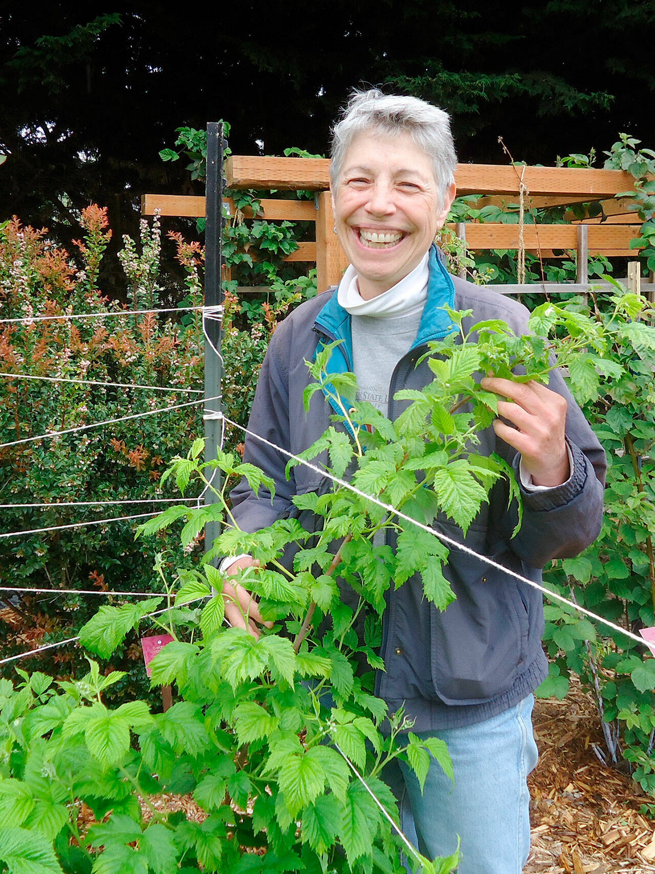 Jeanette Stehr-Green