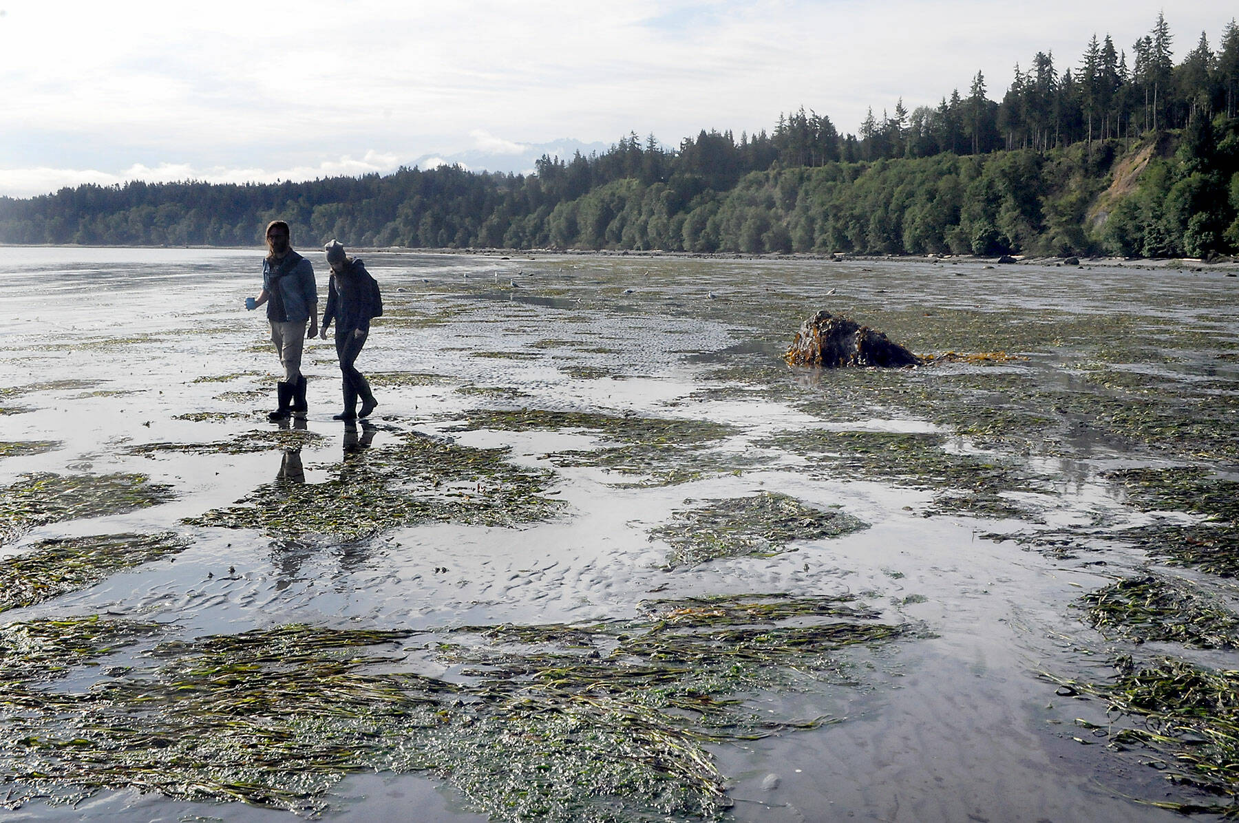 Curtis Welcker of Freshwater Bay and Amy Joy Sedberry of Port Angeles walk along the tidal flats at Freshwater Bay County Park west of Port Angeles during Wednesday’s lowest tide of the year at -2.62 feet. (Keith Thorpe/Peninsula Daily News)