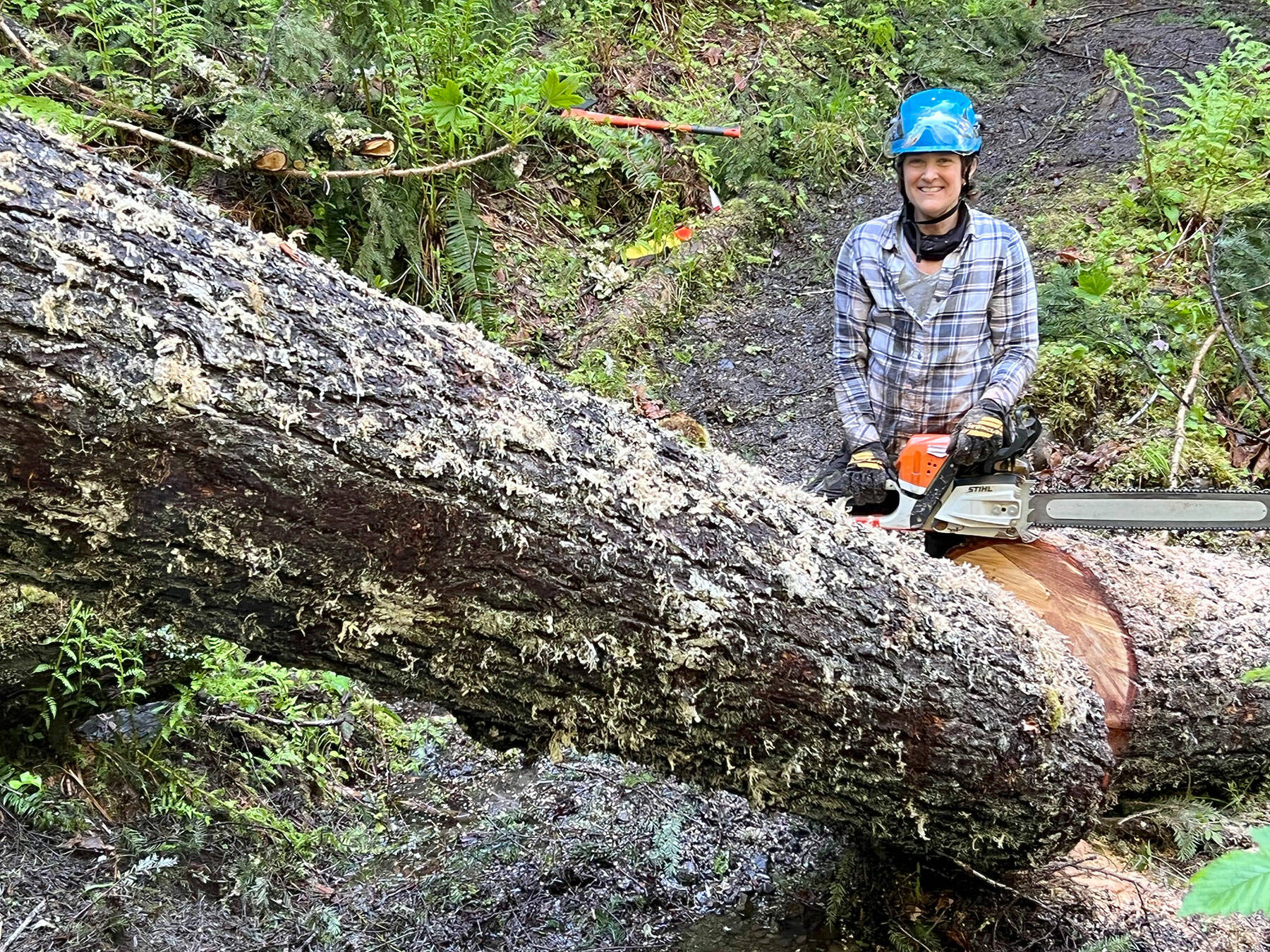 Washington Trails Association Crew Leader Rebecca Wanagel cuts away one of the hundreds of trees blocking trails up to, in and around LaBar Horse Camp in Olympic National Forest. She said it was a “herculean effort” to clear all the fallen logs, but through teamwork by trail-loving volunteers from multiple agencies and members of Back Country Horsemen chapter, the work got done. (Photo courtesy Bob Hoyle)