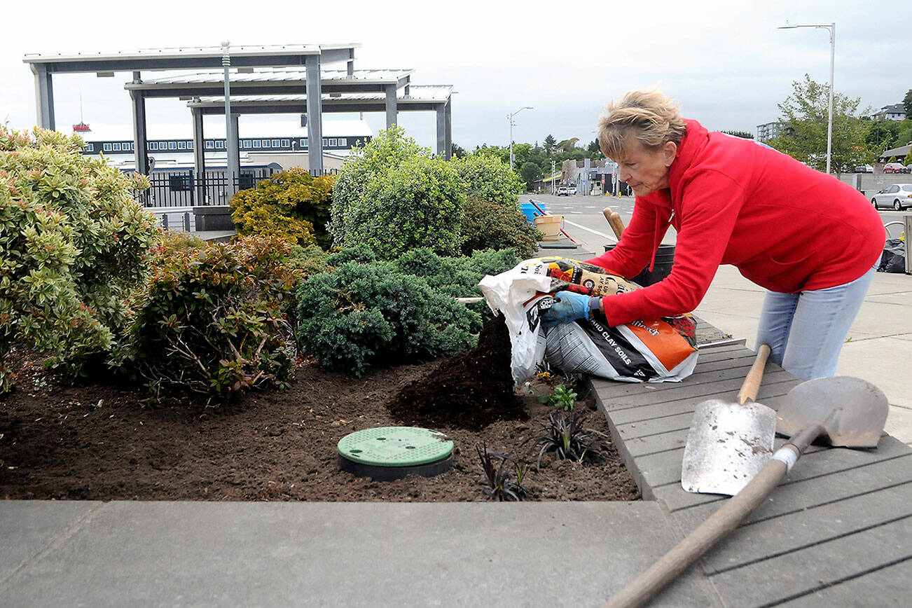 Mary Kelsoe of the Port Angeles Garden Club spreads topsoil in one of the decorative planters along the Esplanade along the Port Angeles waterfront on Wednesday. The planters, known as Billie Loo’s Garden after a longtime garden club member, are regularly maintained by fellow club members. (Keith Thorpe/Peninsula Daily News)