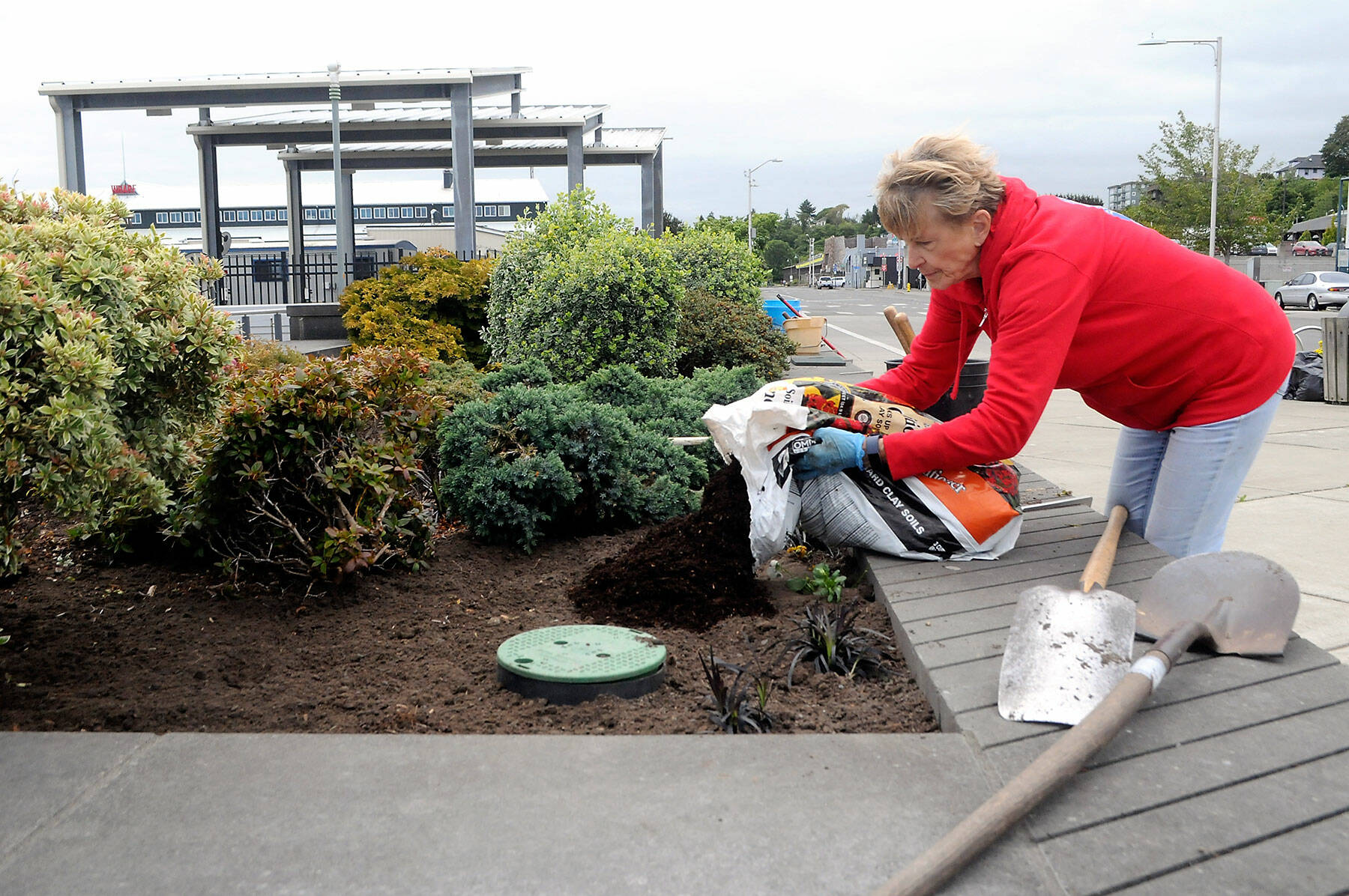 Mary Kelsoe of the Port Angeles Garden Club spreads topsoil in one of the decorative planters along the Esplanade along the Port Angeles waterfront on Wednesday. The planters, known as Billie Loo’s Garden after a longtime garden club member, are regularly maintained by fellow club members. (Keith Thorpe/Peninsula Daily News)