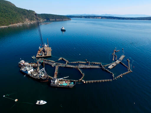 In this photo provided by the state Department of Natural Resources, a crane and boats are anchored next to a collapsed “net pen” used by Cooke Aquaculture Pacific to farm Atlantic Salmon near Cypress Island on Aug. 28, 2017, after a failure of the nets allowed tens of thousands of the nonnative fish to escape. A state jury on Wednesday awarded the Lummi Indian tribe $595,000 over the collapse of the net pen where Atlantic salmon were being raised, an event that elicited fears of damage to wild salmon runs and prompted the Legislature to ban the farming of the nonnative fish. (David Bergvall/Washington State Department of Natural Resources via AP, File)