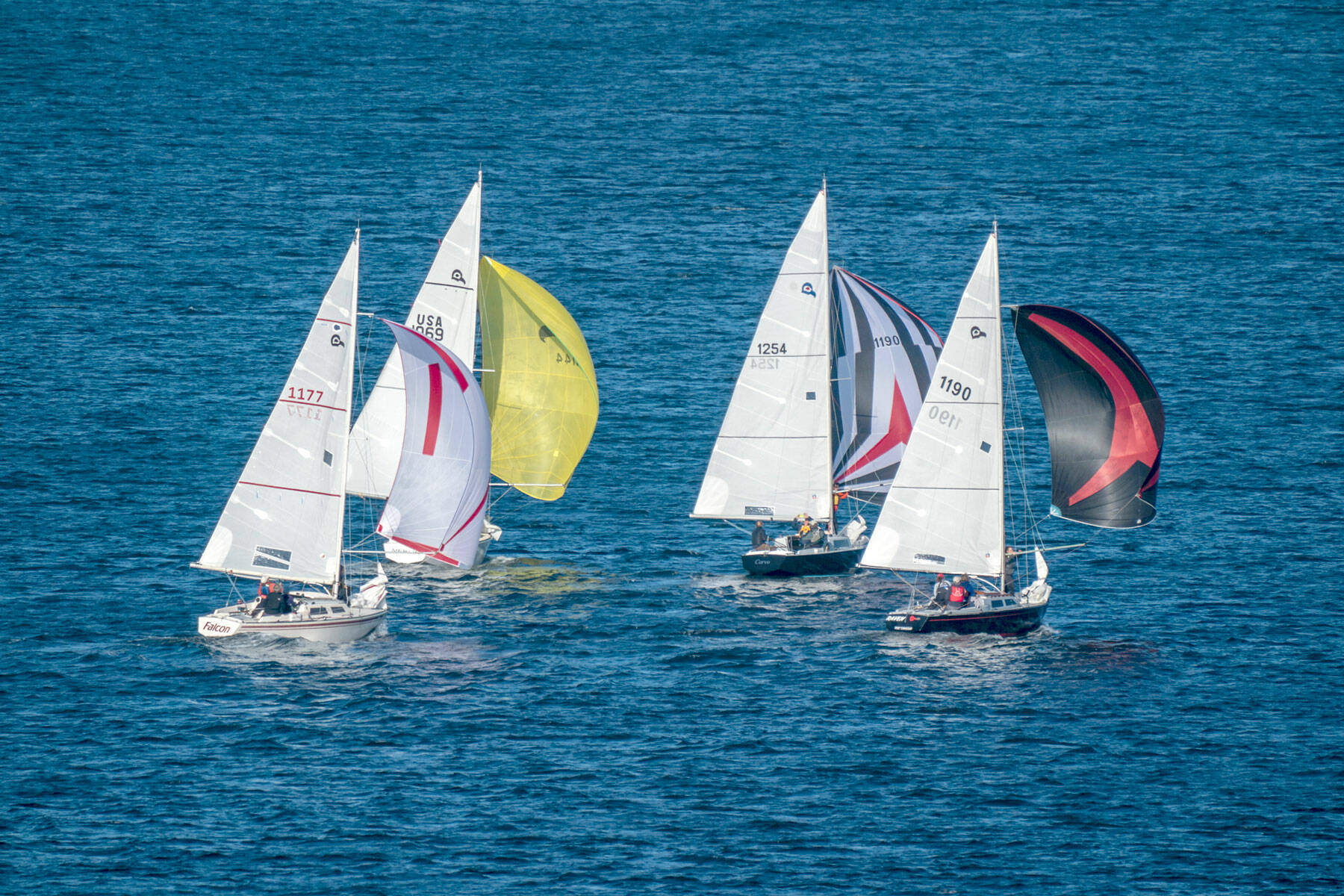Sailboats engage in racing during the weekly Friday evening event on Port Townsend Bay. (Steve Mullensky/for Peninsula Daily News)