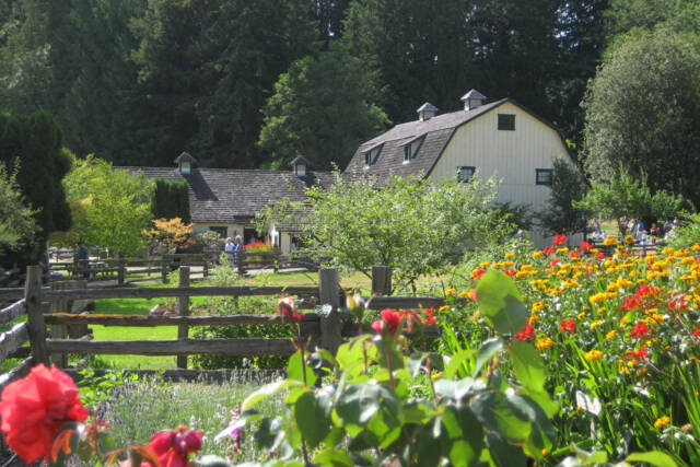 The annual Concerts in the Barn series in Quilcene runs July 9 through Sept. 4. (Concerts in the Barn)