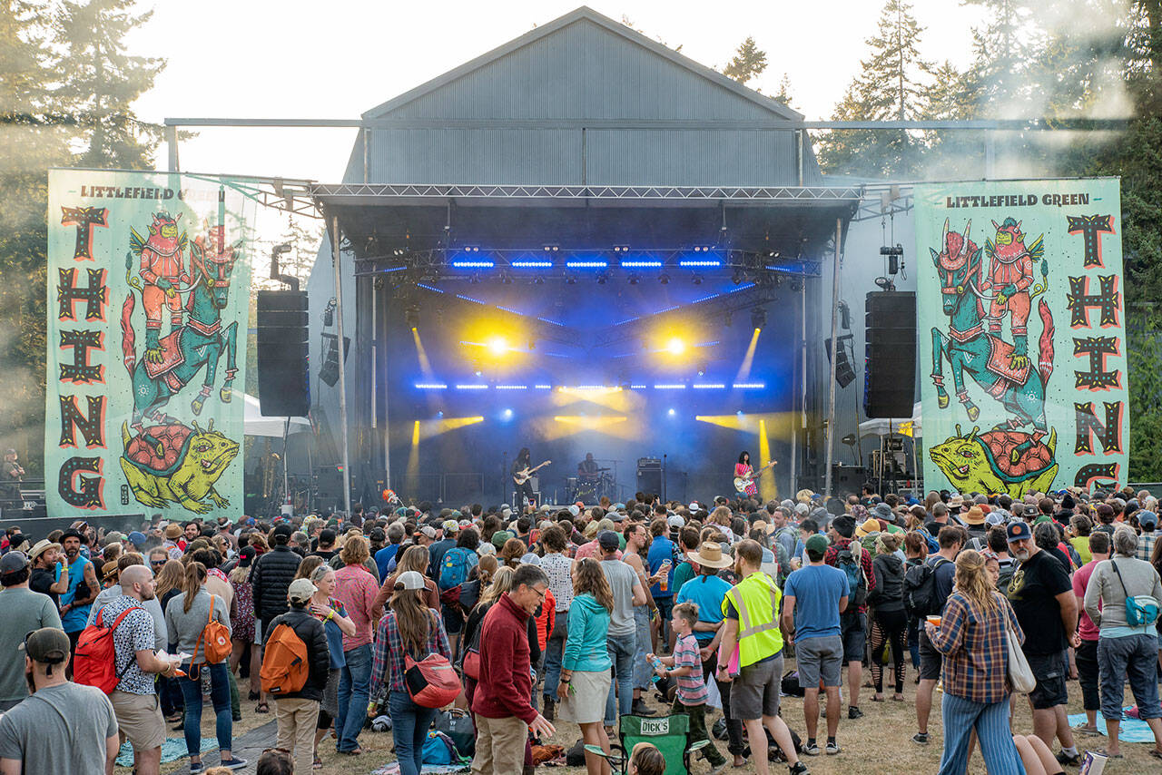 THING stage drew crowds in 2019. (photo by Christine Mitchell)