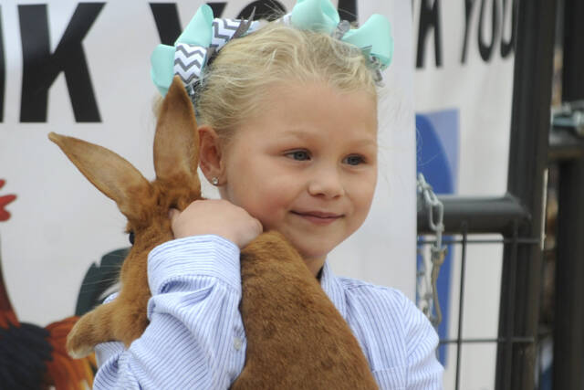 Meriah Bisson participates in the Clallam County Junior Livestock Auction for the first time in 2021, selling her rabbit. (Matthew Nash/Olympic Peninsula News Group)