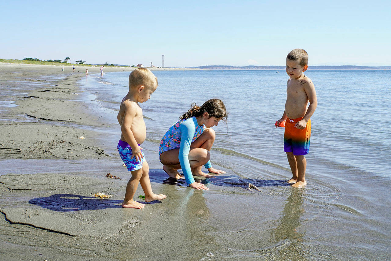 Siblings Luke, 2, Olivia, 9, and Caleb Kalchik, 4, all from Auburn, cool off at the beach at Fort Worden State Park in Port Townsend on Tuesday. The kids were observing a sea star that had washed up on the beach. The parents were watching while sitting under the shade of an umbrella to beat the heat. (Steve Mullensky/for Peninsula Daily News)