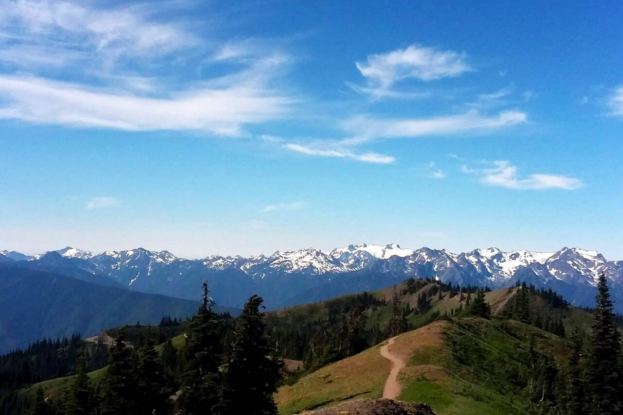 The trail from Hurricane Ridge to Klahhane Ridge on a blistering hot day Thursday. (Pierre LaBossiere/Peninsula Daily News)