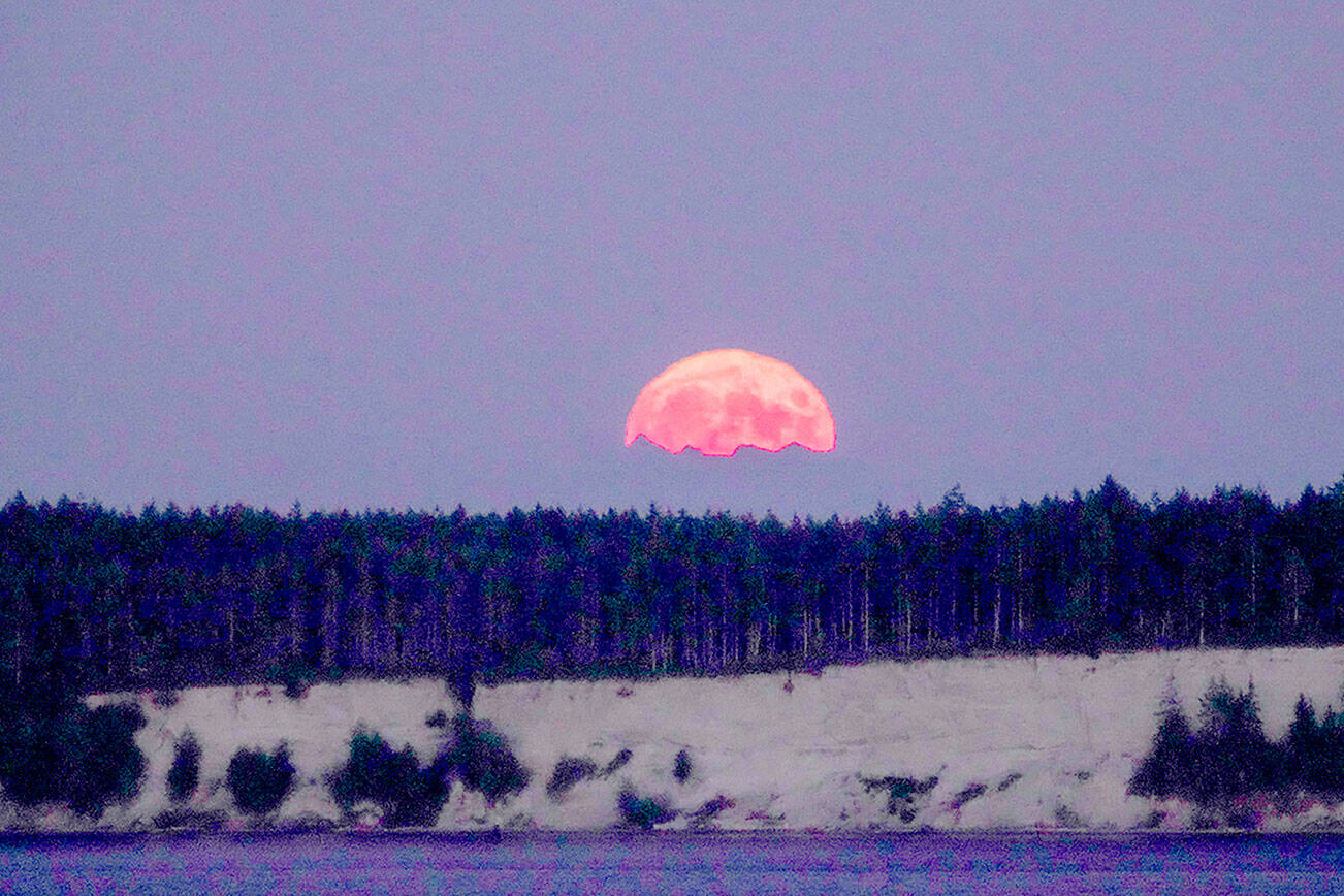 Steve Mullensky/for Peninsula Daily News


The Sturgeon Moon, the last full supermoon of the year, emerges behind Port Townsend's Marrowstone Island and the distant Cascades, on Thursday night. The reddish color is due to the smoke from the fires in eastern Washington.