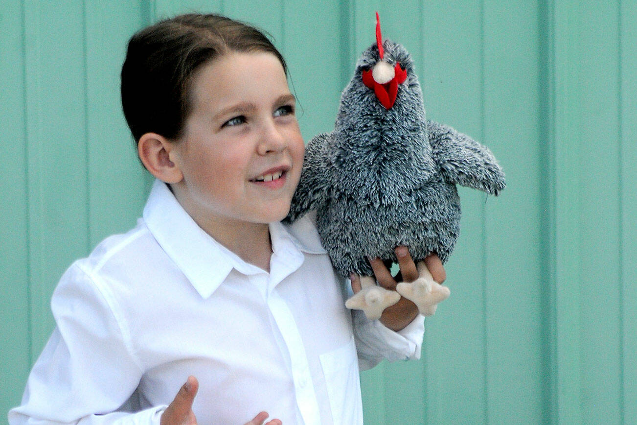 Ellie Olson, 7, a member of the East Clallam Livestock 4H Club, shows off her knowledge of poultry using a stuffed chicken, a concession to preventing the spread of avian flu by keeping live chickens away from the Clallam County Fair barns on Thursday. (Keith Thorpe/Peninsula Daily News)