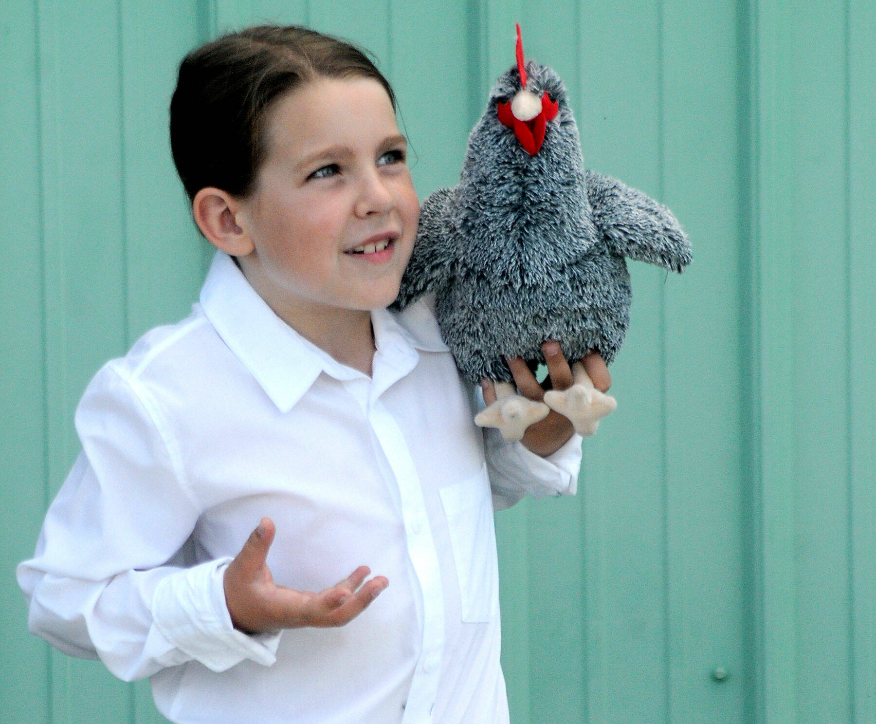 Ellie Olson, 7, a member of the East Clallam Livestock 4H Club, shows off her knowledge of poultry using a stuffed chicken, a concession to preventing the spread of avian flu by keeping live chickens away from the Clallam County Fair barns on Thursday. (Keith Thorpe/Peninsula Daily News)