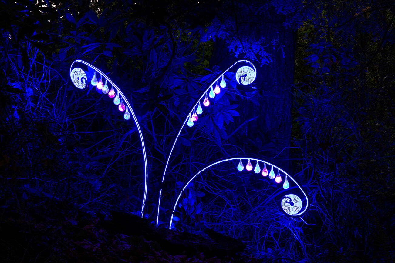 "Emergent Dreams" by Tracy Beals, is light art that was displayed in 2021.