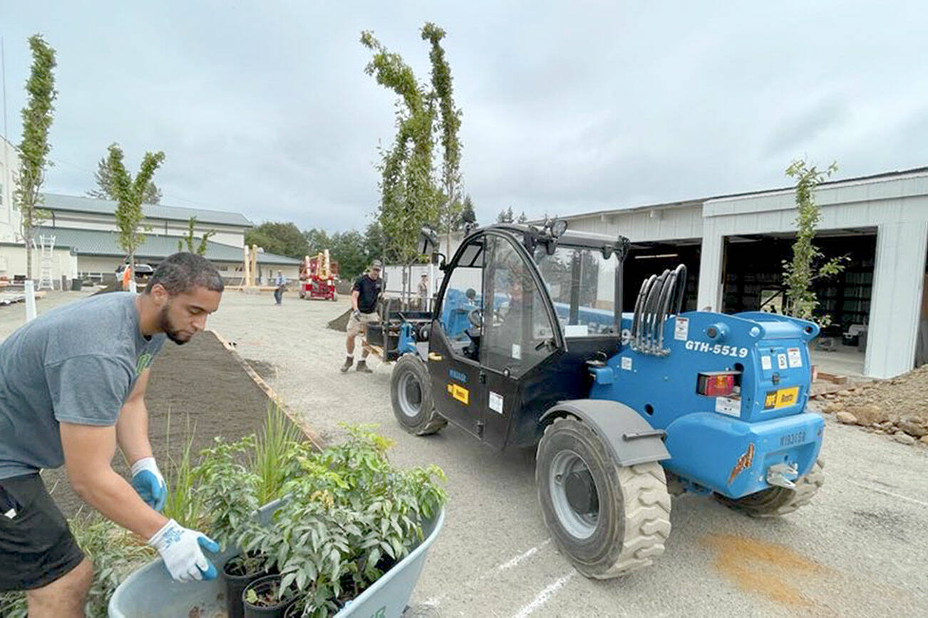 Sterling Bradby lays out plants to line a new walkway. (Steve Murakami)