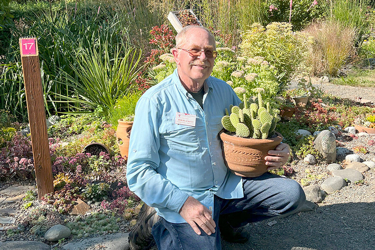 Bob Blackett will present “Succulents” at noon Thursday.
