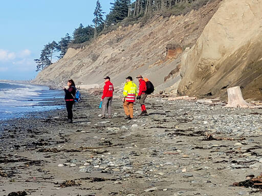 Clallam County Search and Rescue crews walk the beach at Dungeness Spit on Friday. The sheriff’s office suspects the remains found are from a seaplane crash near Whidbey Island on Sept. 4. (Clallam County Sheriff’s Office)