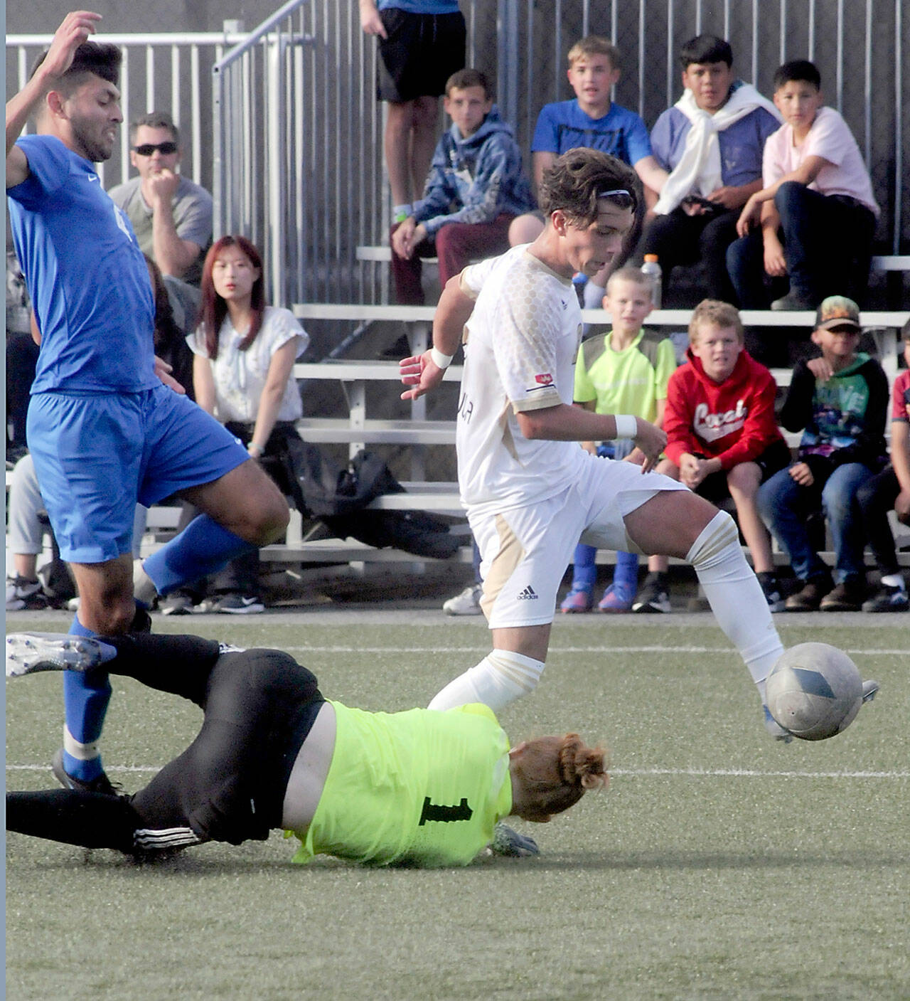 Peninsula’s Pau Vivas right, takes advantage of a loose ball missed by Edmonds’ goalkeeper Devon Collins, leaving a wide open net to score a goal as Edmond’s Aaron Diaz, left, tries to avoid a collision during the first half on Wednesday in Port Angeles. (Keith Thorpe/Peninsula Daily News)