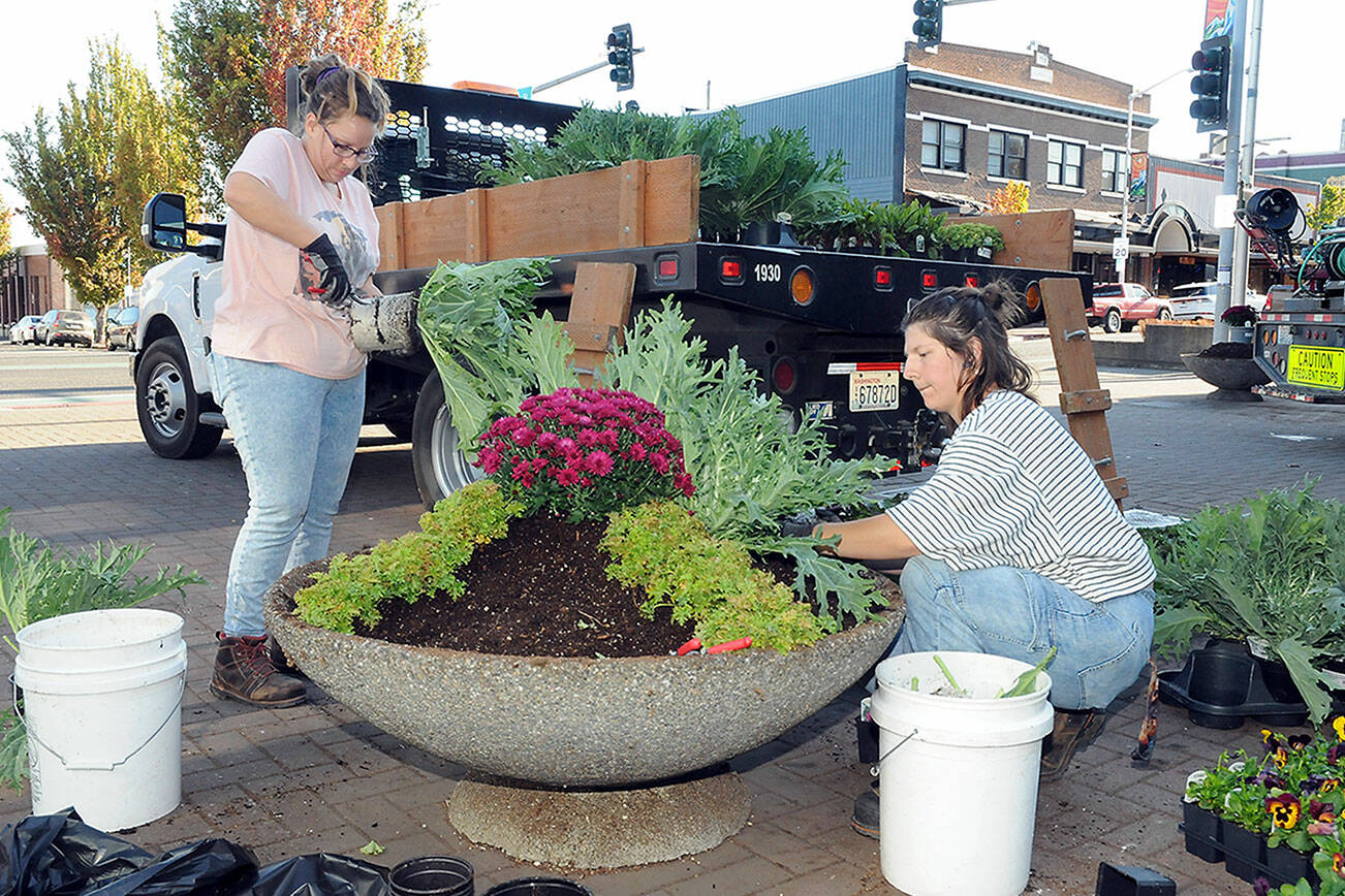 KEITH THORPE/PENINSULA DAILY NEWS
Port Angeles Parks and Recreation Department workers Kimberly Noble, left, and Destiny Walters add autumn plants to a decorative basin at the Conrad Dyar Memorial Fountain on Friday in downtown Port Angeles. Plants at the fountain and at other locations in the downtown area are periodically replaced with vegetation appropriate to the season.