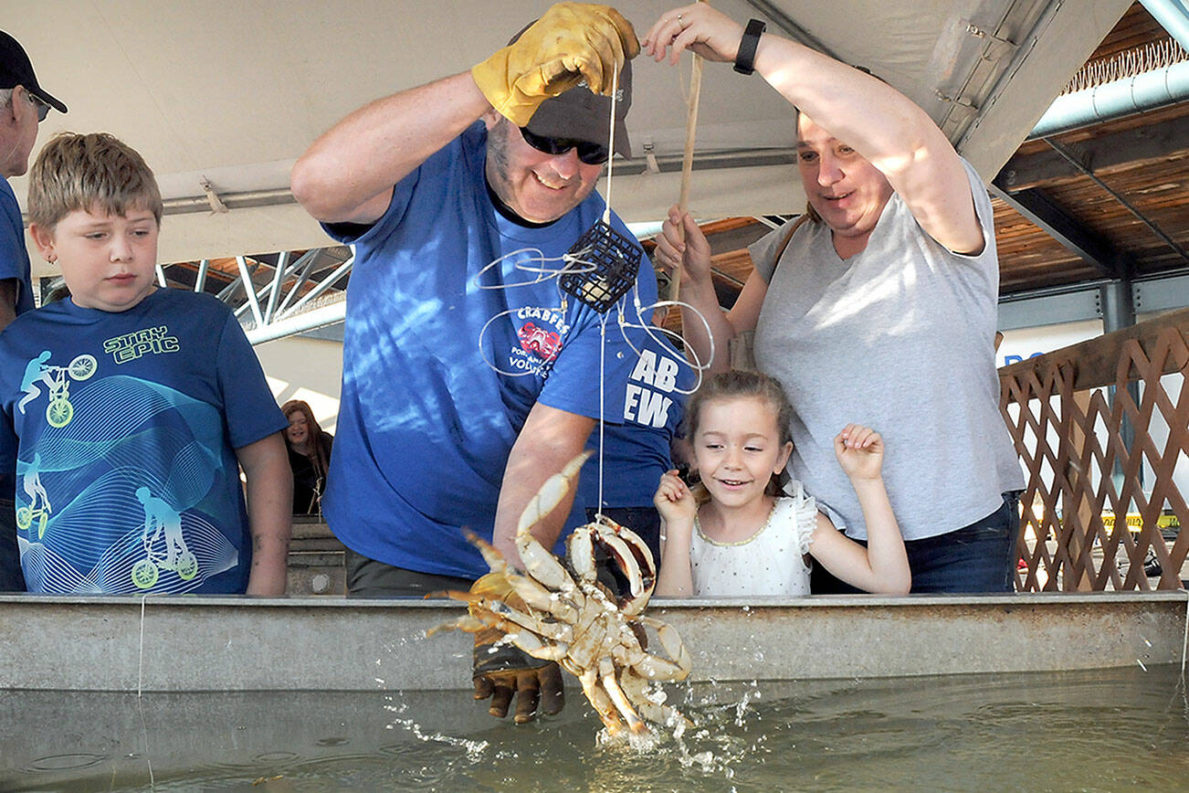 Elaina Wood, 6, center, looks on in delight after catching a crab as her brother, Kjol Wood, 11, left, watches while grandmother Tina Taylor of Port Angeles, right, and Puget Sound Anglers member Russ Manson of Sequim assist with the capture during the Grab a Crab Derby on Saturday at the Dungeness Crab and Seafood Festival in Port Angeles. The three-day festival brought abut 15,000 people to the Port Angeles waterfront for food, music and other activities. (Keith Thorpe/Peninsula Daily News)