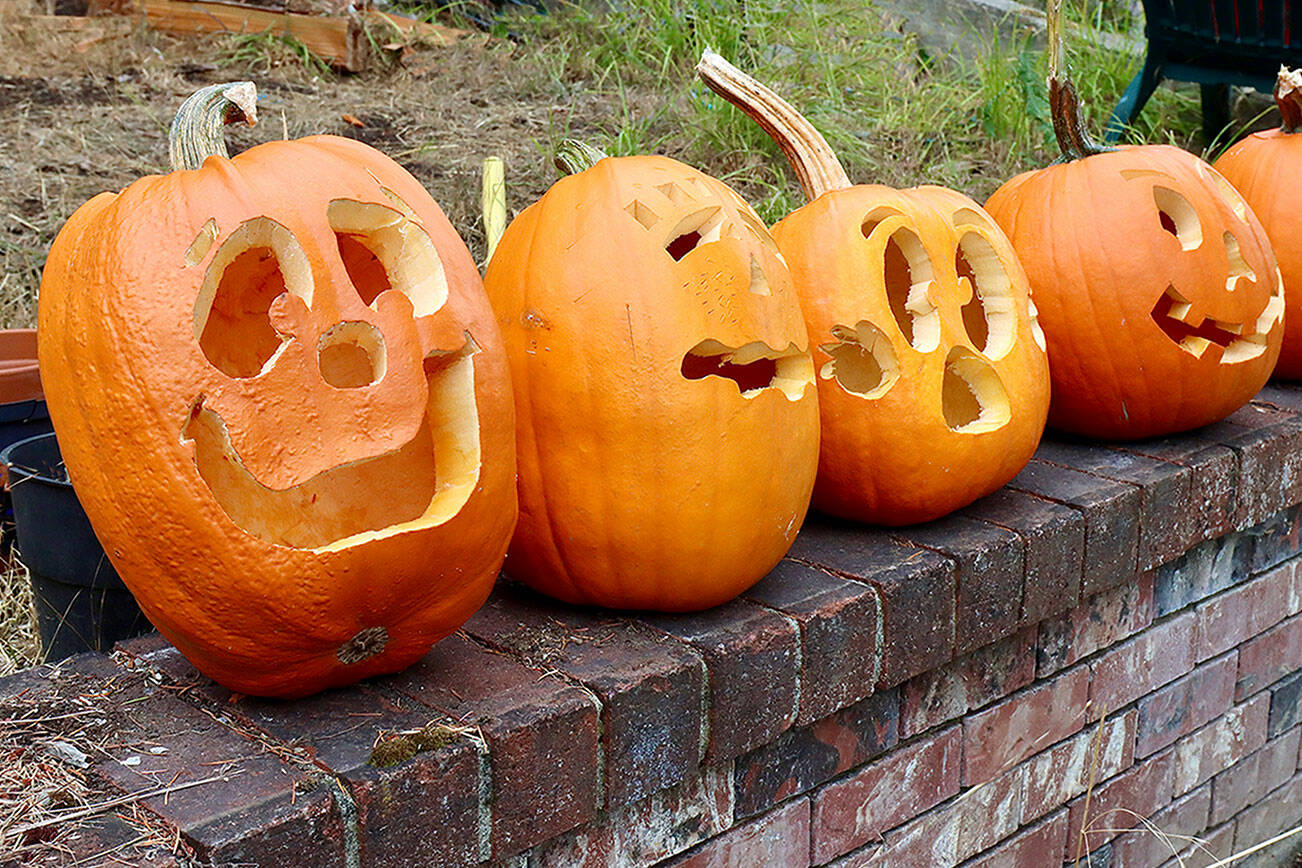A row of carved Halloween pumpkins sitting on a brick fence in the 1800 block of West 10th in PA dlogan