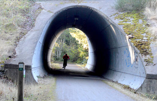A cyclist enters the tunnel under Discovery Road at the 3-mile marker on the Larry Scott Memorial Trail south of Port Townsend. The now-cleared segment is part of the Olympic Discovery Trail across East Jefferson and Clallam counties, where a number of trees had blocked passage after the Nov. 4 storm. (Diane Urbani de la Paz/For Peninsula Daily News)