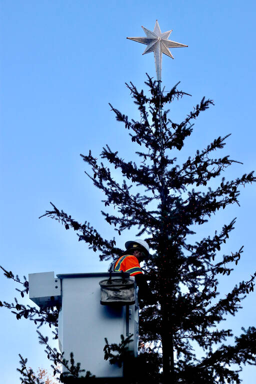 Eli Hammel of the City of Port Angeles starts on Wednesday the three-day task of putting 10,000 lights on a Christmas tree while suspended in a lift bucket. The tree, which came from city property, will adorn the downtown Conrad Dyer plaza at the foot of Laurel Street. No tree-lighting ceremony is planned but Small Business Weekend is set after Thanksgiving. (Dave Logan/for Peninsula Daily News)