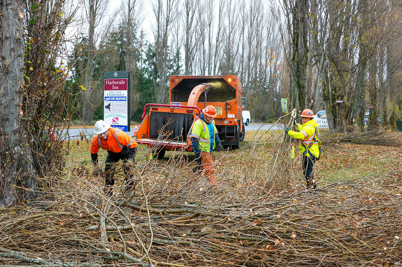 Steve Mullensky / for Peninsula Daily News
A crew from Asplundh Tree Expert company, Jason Johnson, Roy Hunt and John Cabrere, load tree branches into a chipper as they perform power line maintenance for the Jefferson County Public Utilities District on Tuesday afternoon along Sims Way in Port Townsend. These are the same poplar trees that are slated for removal, at a later date, by the Port of Port Townsend to make room for future expansion.