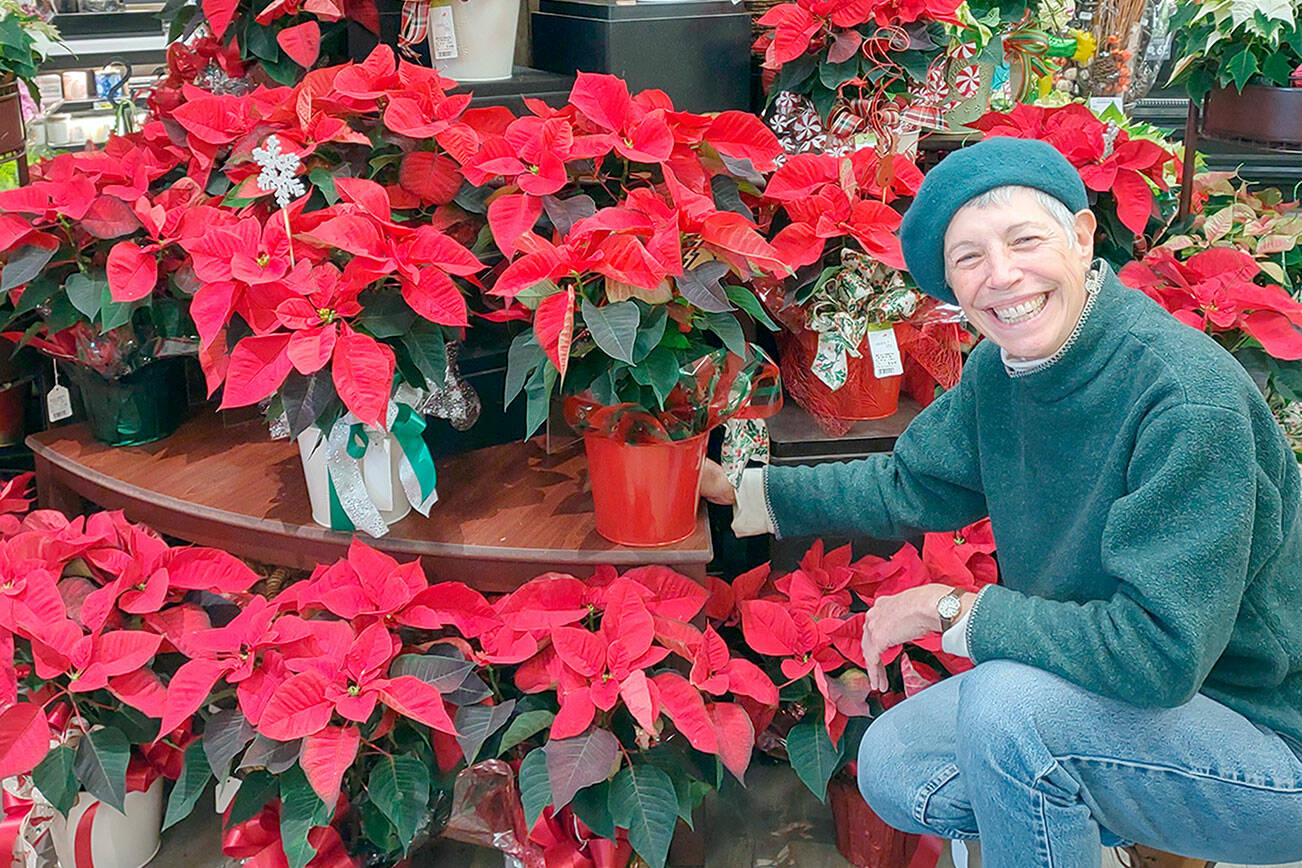 Jeanette Steyr-Green will present “The Strange Tale of the Poinsettia: The Past, Present, and Future of a Holiday Tradition” at noon Thursday.