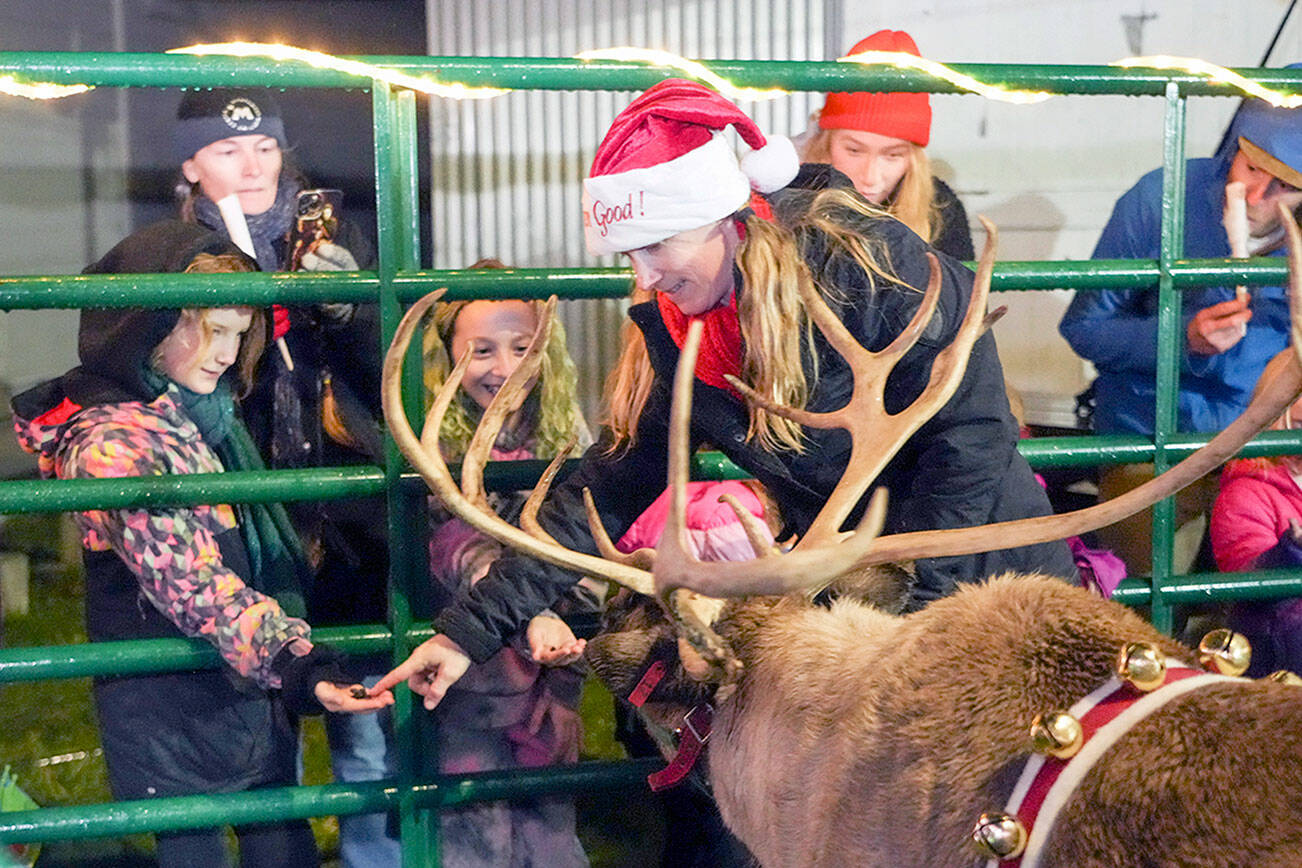 Steve Mullensky/for Peninsula Daily News

Sophia McKee, owner of Rainier Reindeer Ranch in Buckley, directs the nose of Bunny, an 8-year-old reindeer, to the raisin treat offered by a young girl during the first Magic of Christmas event that opened on Thursday night at the Jefferson County Fairgrounds, 4907 Landes St., Port Townsend. Although reindeers were onsite only for opening night, a myriad of free activities are planned from 4 p.m. to 8 p.m. through Tuesday, with special events planned on Christmas Eve. For more information, see https://jeffcofairgrounds.com/.