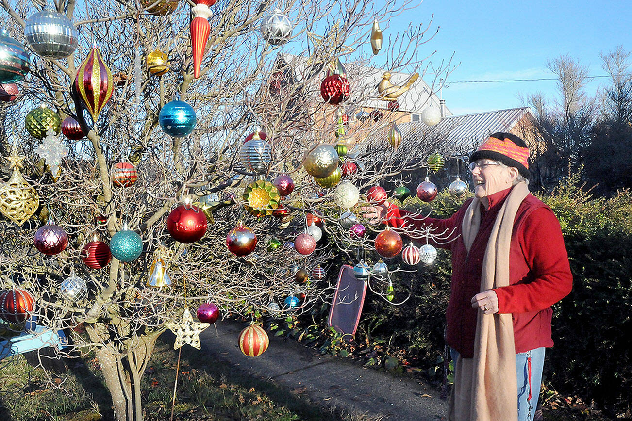 Marie Cauvel adds ornaments to a tree along the sidewalk in front of her house in the 600 block of South Cedar Street in Port Angeles. The tree was one of a pair next to the street that received holiday adornment by Cauvel, who said she was taking advantage of a sunny day to accomplish the task. (Keith Thorpe/Peninsula Daily News)