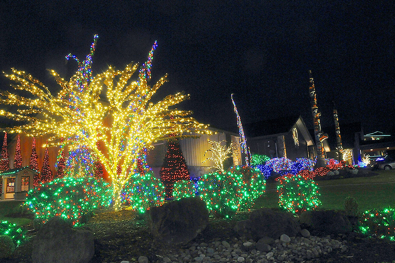 Decorated trees and bushes light up the night on the grounds of 7 Cedars Casino in Blyn. (Keith Thorpe/Peninsula Daily News)