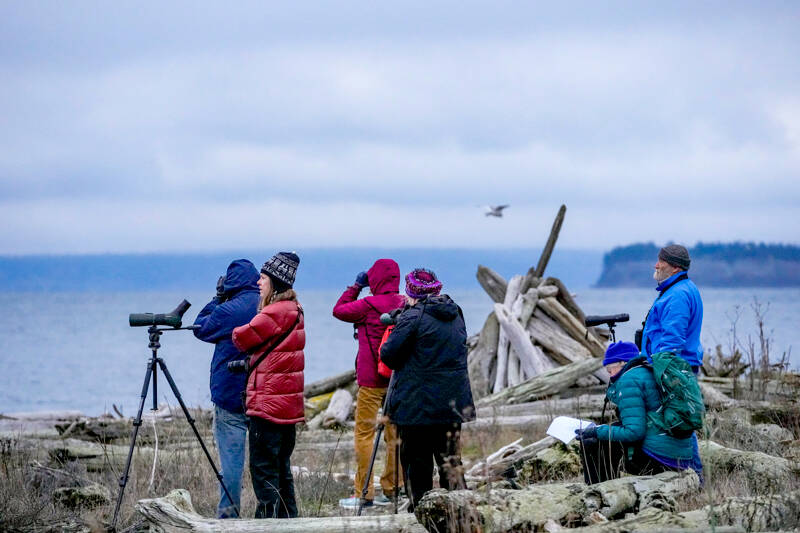A group of Admiralty Audubon members look out over the Strait of Juan de Fuca to count birds for the annual Audubon Christmas Bird Count. (Steve Mullensky/for Peninsula Daily News)