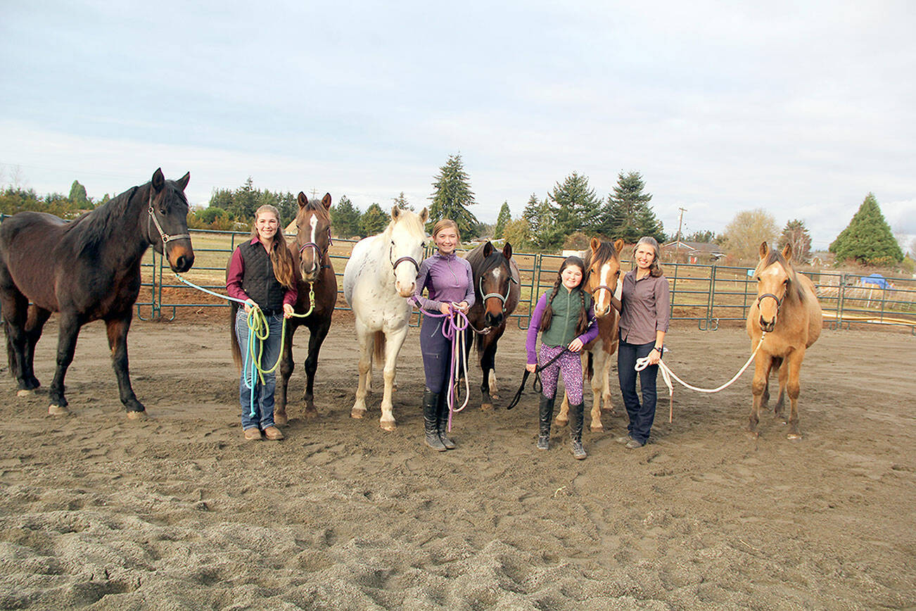 Photo by Karen Griffiths

Cutline:  The Steffen family with their BLM mustangs from left: Glamour (4), Sierra Steffen, Freesta (4), Stardust (5), Marisa Steffen, Tahani (5), Lucy (2), Eliza Steffen and mom Erica Steffen with Big Guy (1). The girls are taking part in a 100-day training competition with some of the mustangs, and at the end will show their new skills at the Teens and Oregon Mustang Showdown, held during the Northwest Horse Expo in Albany, Oregon March 24-26. On the evening 26th the mustangs in the competition will be auctioned off.
