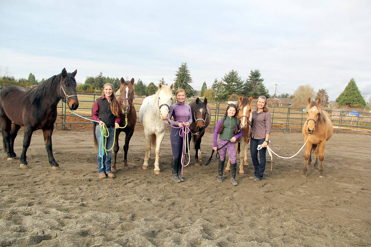 The Steffen family with their BLM mustangs from left: Glamour (4), Sierra Steffen, Freesta (4), Stardust (5), Marisa Steffen, Tahani (5), Lucy (2), Eliza Steffen and mom Erica Steffen with Big Guy (1). The girls are taking part in a 100-day training competition with some of the mustangs, and at the end will show their new skills at the Teens and Oregon Mustang Showdown, held during the Northwest Horse Expo in Albany, Oregon March 24-26. On the evening 26th the mustangs in the competition will be auctioned off. (Karen Griffiths/For Peninsula Daily News)