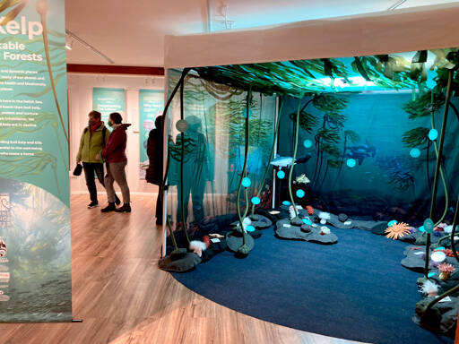 Visitors wander through the Port Townsend Marine Science Center’s new exhibit on kelp forests in downtown Port Townsend. (Port Townsend Marine Science Center)