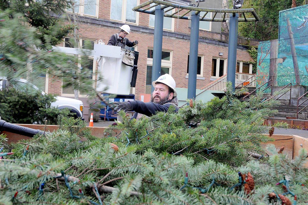 Port Angeles Parks & Recreation employee Brian Flores tosses a cut tree branch into the back of a truck for removal as coworker Elijah Hammel works in a lift bucket while the downtown Christmas tree at the Conrad Dyar Memoral Fountain is dismantled on Wednesday. Branches from the tree and the lights that entangled them were to be disposed of and the main trunk donated for firewood. (Keith Thorpe/Peninsula Daily News)