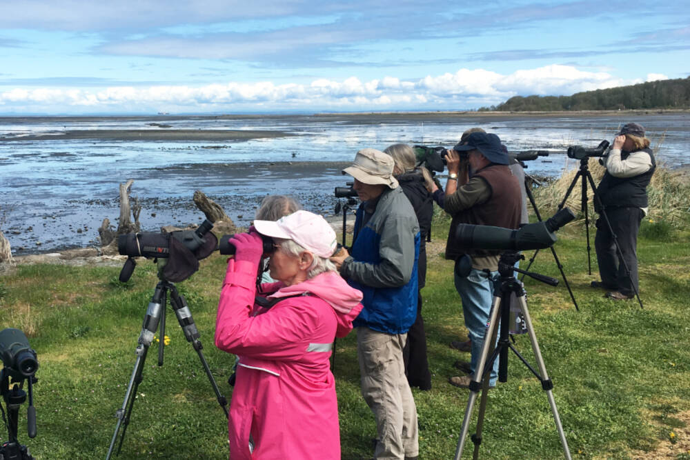 Attendees of a recent Olympic BirdFest enjoy a field trip at Dungeness Landing. Registration for the 2023 event is open at OlympicBirdFest.org. (Photo courtesy of Dungeness River Nature Center)