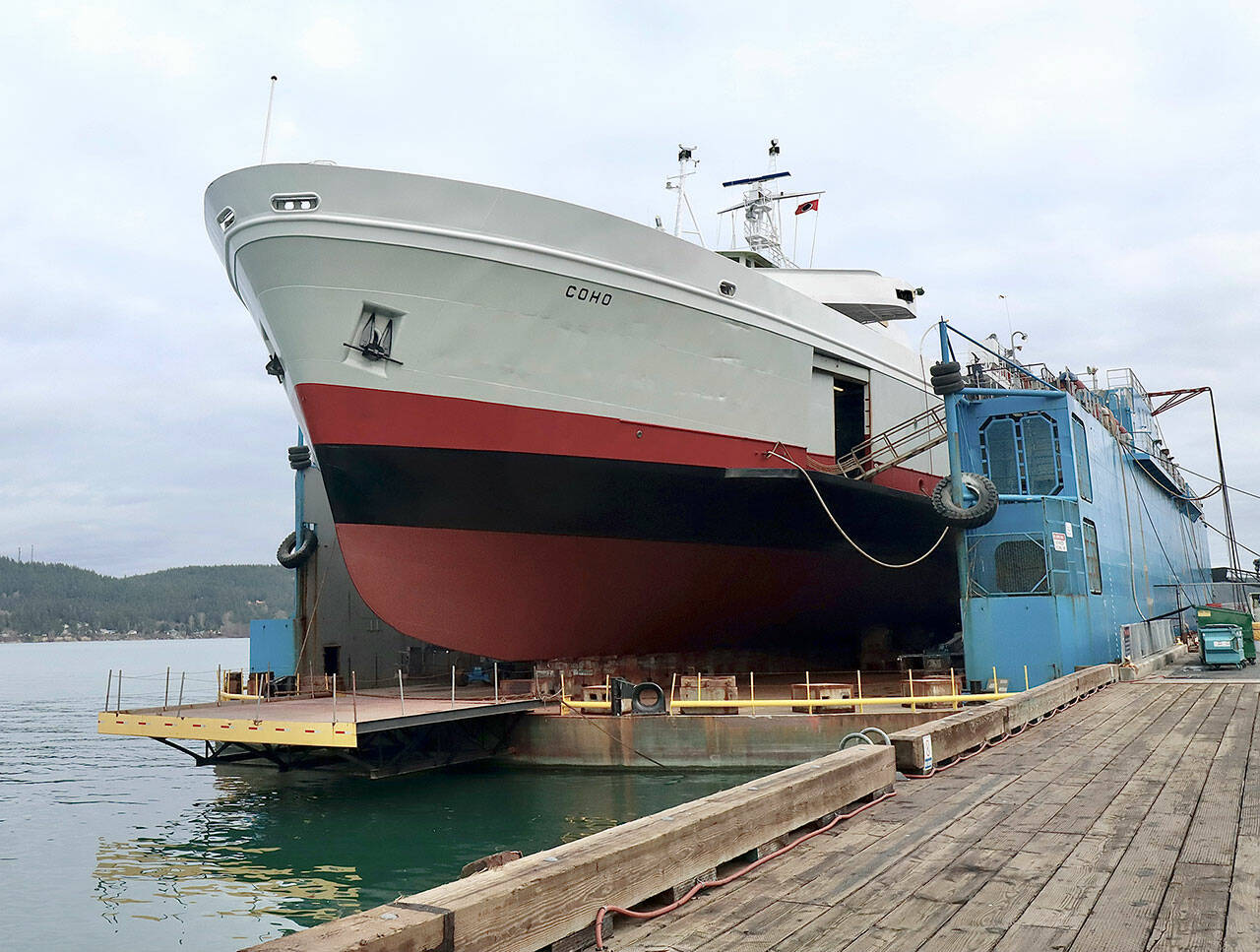 The MV Coho, pictured in dry dock at the Anacortes Ship Yards, will be back in service Thursday. Yearly maintenance began Jan. 3. The maintenance is taking a few days longer due to COVID-19 the past two years, Black Ball Ferry Line officials have said. The ship returns to twice-daily round trips across the Strait of Juan de Fuca between Victoria and Port Angeles at 8:20 a.m. Thursday. (Dave Logan/for Peninsula Daily News)