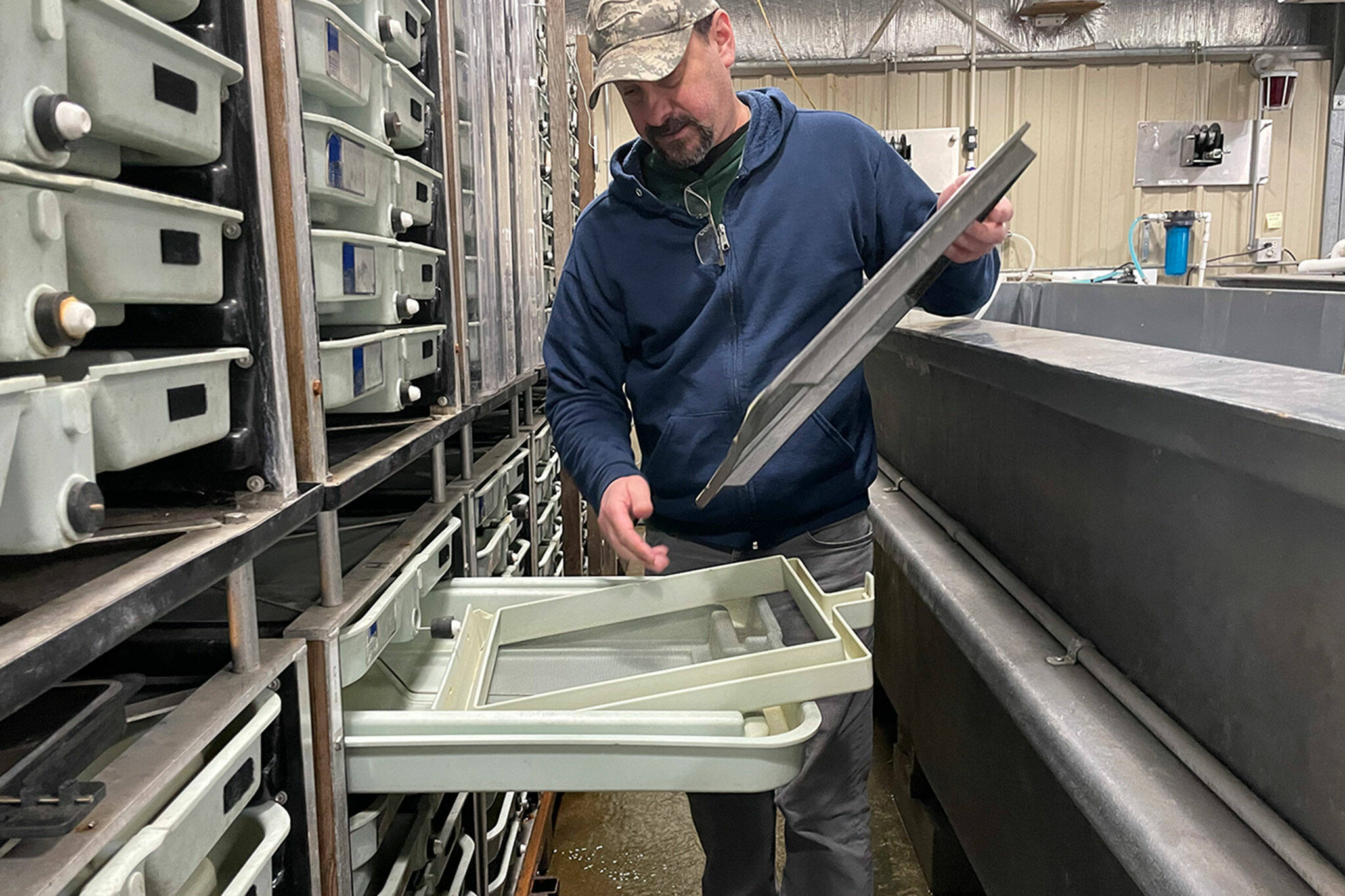 Jeff Gufler, fish hatchery specialist IV for the state Department of Fish and Wildlife, said the new Hurd Creek Hatchery will include more fish incubation trays for various fish, including Elwha fall chinook and Dungeness spring chinook. (Matthew Nash/Olympic Peninsula News Group)