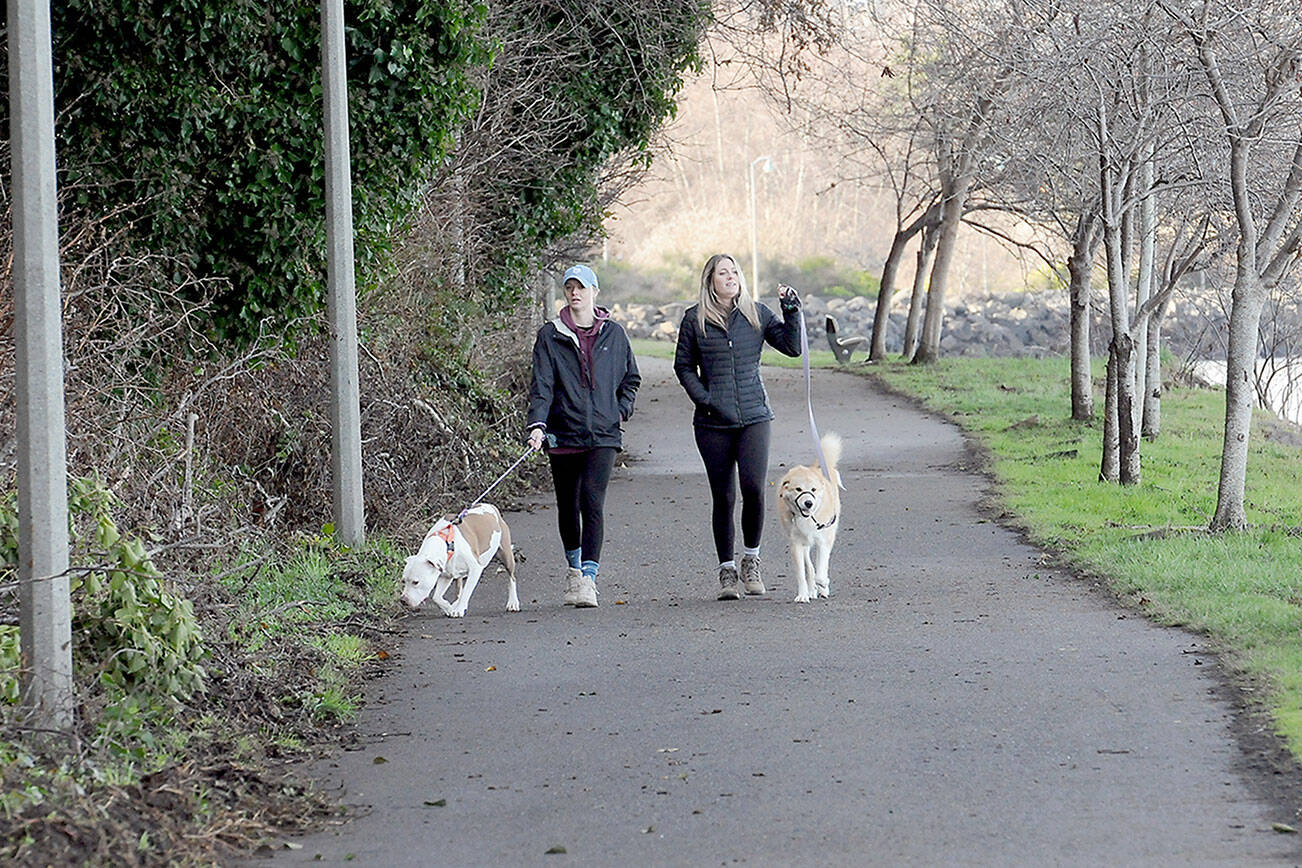 Emily Kauffman of Port Angeles, left, and her dog, Dezzy, and Emily Jorgenson of Austin, Minn., with her dog, Lexi, take a stroll on the Waterfront Trail east of downtown Port Angeles. The pair and their pets were taking advantage of a dry winter day on the North Olympic Peninsula. (Keith Thorpe/Peninsula Daily News)