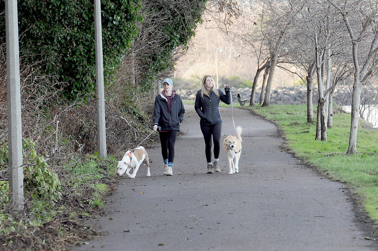 Emily Kauffman of Port Angeles, left, and her dog, Dezzy, and Emily Jorgenson of Austin, Minn., with her dog, Lexi, take a stroll on the Waterfront Trail east of downtown Port Angeles. The pair and their pets were taking advantage of a dry winter day on the North Olympic Peninsula. (Keith Thorpe/Peninsula Daily News)