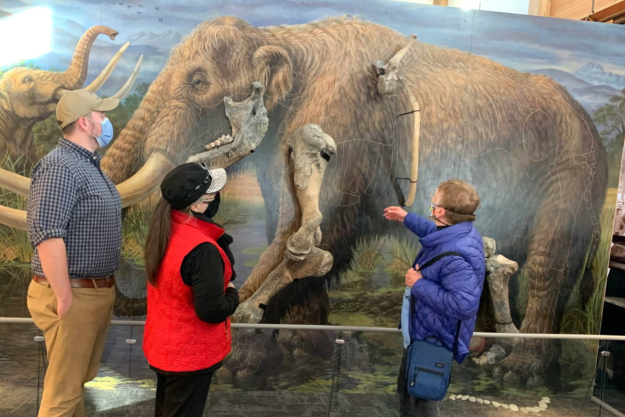 In November 2020, Zachary Newell, a researcher at the Center for the Study of the First Americans at Texas A&M, meets with Judy Reandeau Stipe, executive director of the Sequim Museum, and Clare Manis Hatler to discuss the mastodon and its discovery. (Zachary Newell)