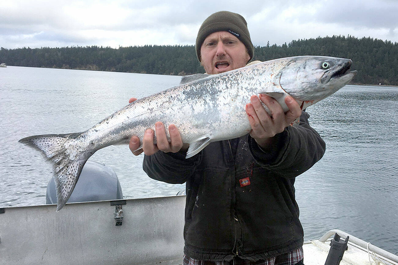 Port Townsend's John Steurer caught this blackmouth while fishing in February 2020.