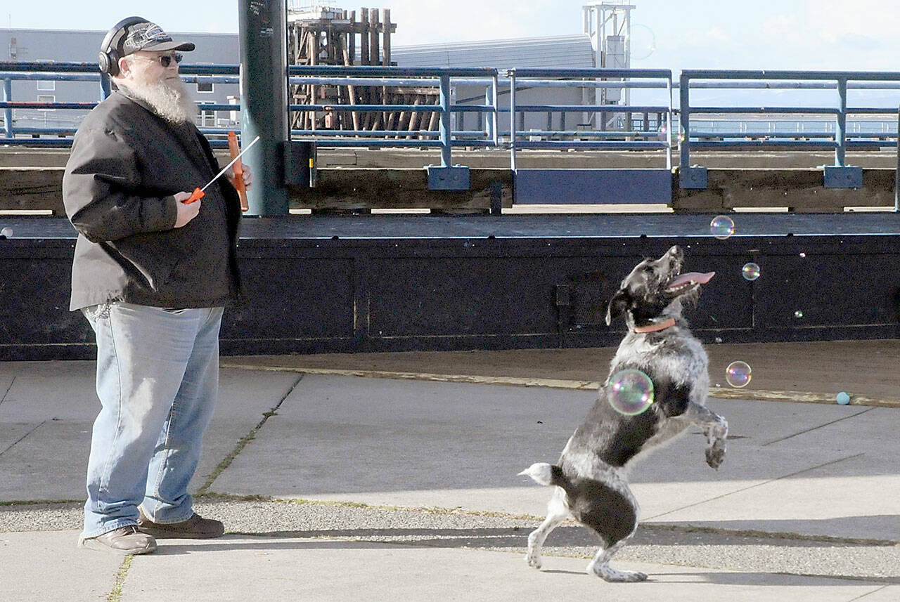 Chris Paulsen of Port Angeles watches as his dog, Loki, chases after soap bubbles at Port Angeles City Pier. Paulsen said that popping bubbles was the canine’s favorite form of recreation. (Keith Thorpe/Peninsula Daily News)