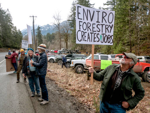 Protesters line U.S. Highway 101, some with signs, as they demonstrate against the sale and potential logging of Aldwell timber. (John Gussman)
