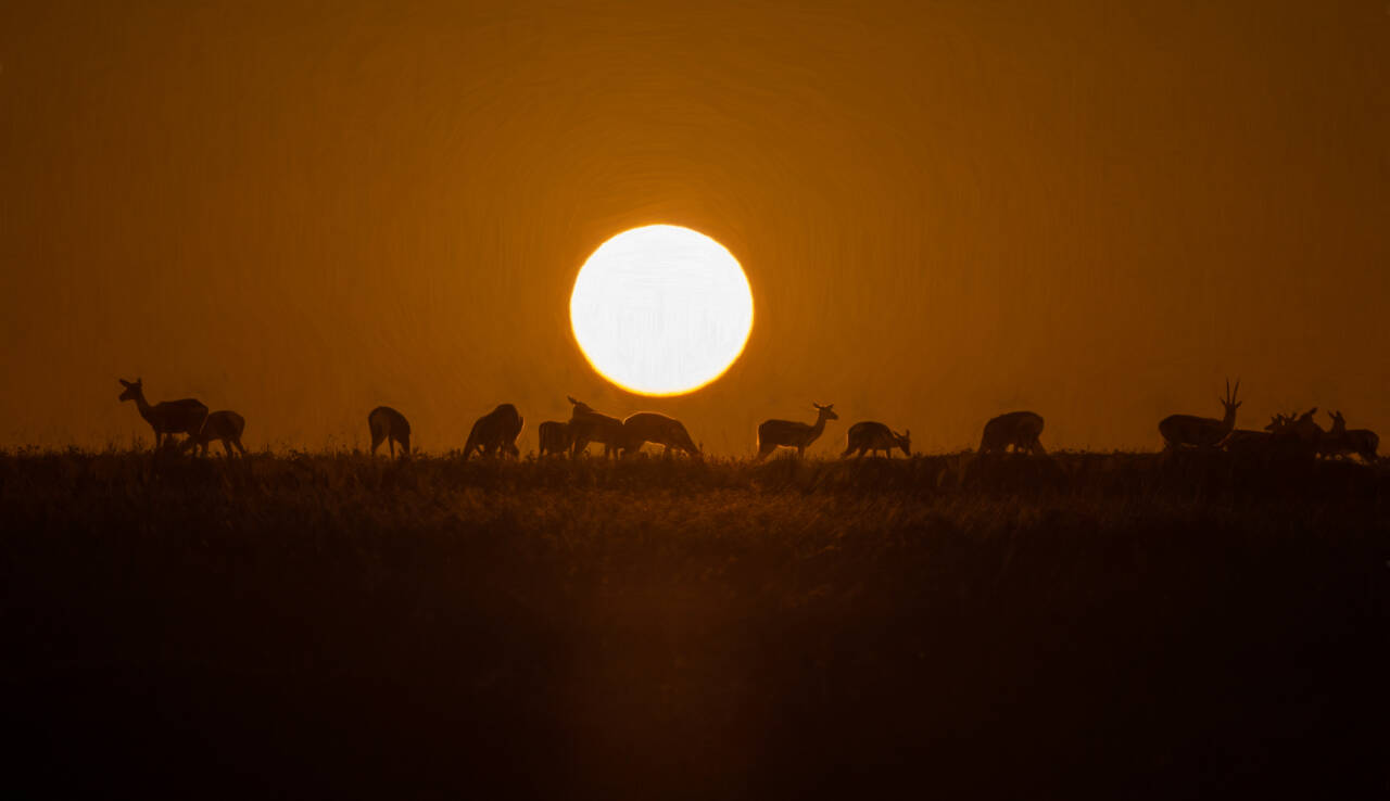 It’s a breathtaking morning view in Kenya for Suzanne Anaya, who went to Kenya as part of an African safari.